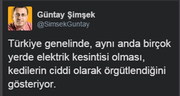 Sosyal medyada elektrik geyikleri