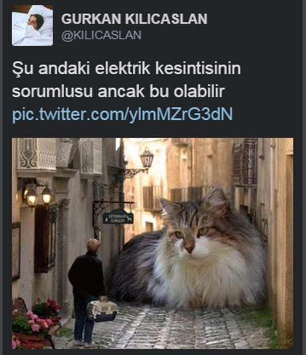 Sosyal medyada elektrik geyikleri 8