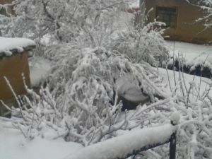 Konya'ya kış geri geldi