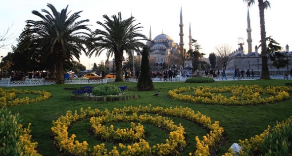 Baharın simgesi laleler 12