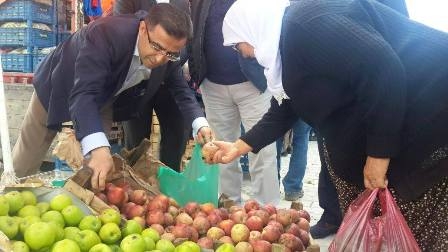 AK Parti vekil adayları yollarda 9