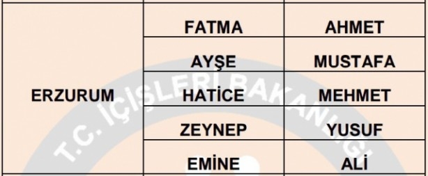 İşte illere göre en çok kullanılan isimler 23