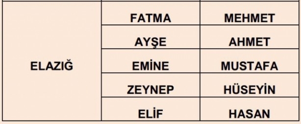 İşte illere göre en çok kullanılan isimler 24
