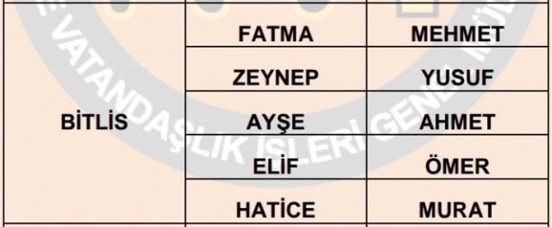 İşte illere göre en çok kullanılan isimler 25