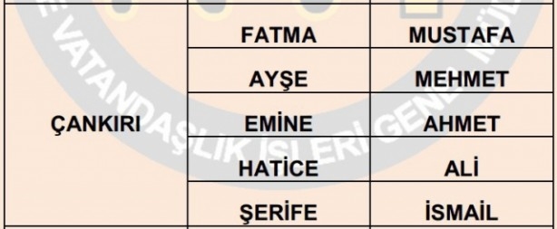 İşte illere göre en çok kullanılan isimler 28