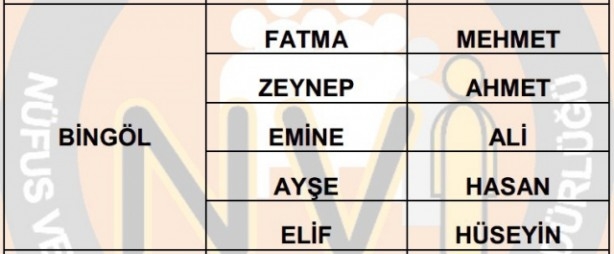 İşte illere göre en çok kullanılan isimler 33