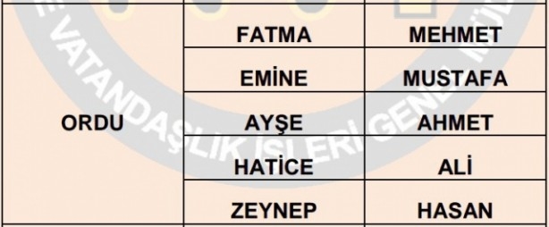 İşte illere göre en çok kullanılan isimler 46