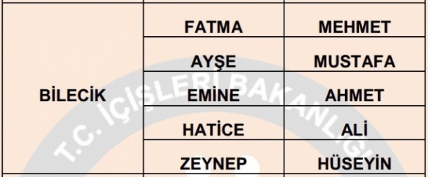 İşte illere göre en çok kullanılan isimler 49