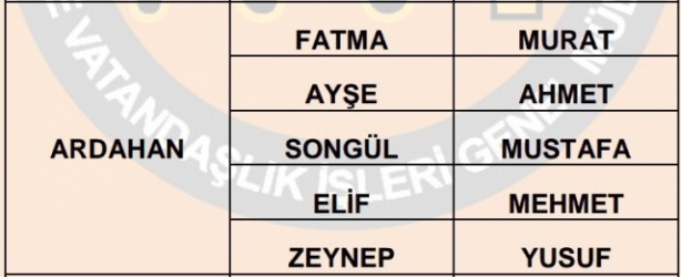 İşte illere göre en çok kullanılan isimler 52
