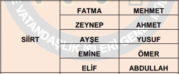 İşte illere göre en çok kullanılan isimler 56