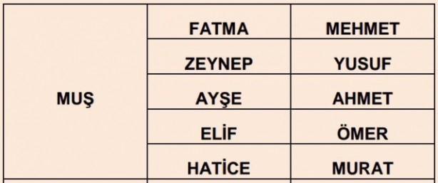 İşte illere göre en çok kullanılan isimler 59