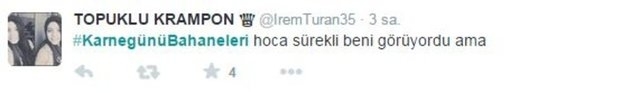 Karne günü capsleri 17