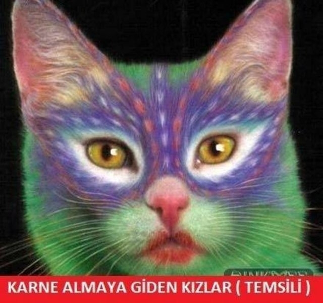 Karne günü capsleri 24