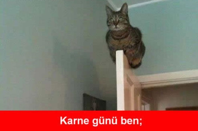 Karne günü capsleri