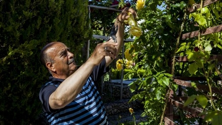 Adeta 'vaha'ya dönüştürdü 2