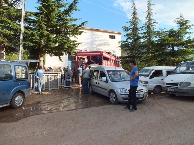 HADİM KİRAZI DALINDA İHRAÇ EDİLİYOR 16