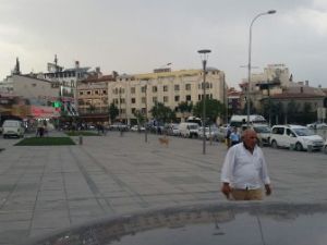 Başıboş köpekler turistleri korkutuyor