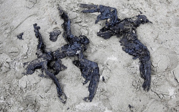 Reutersdan 2011 fotoğrafları 102