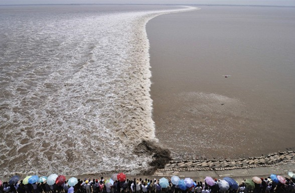 Reutersdan 2011 fotoğrafları 114