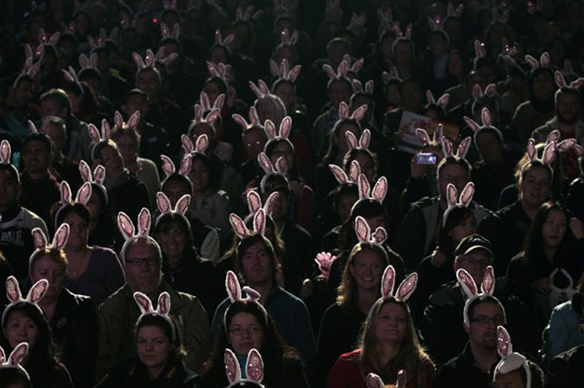 Reutersdan 2011 fotoğrafları 21