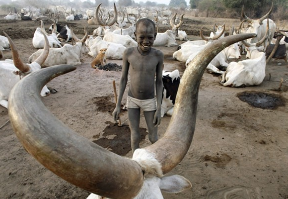Reutersdan 2011 fotoğrafları 36