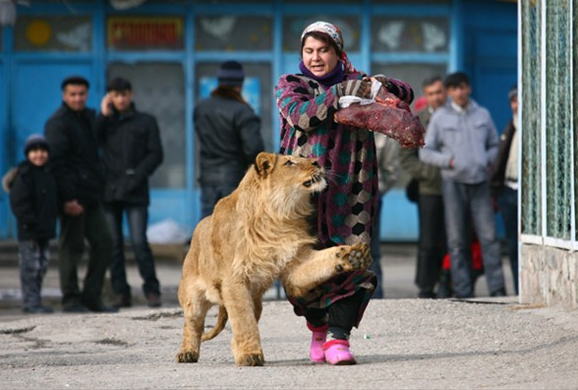Reutersdan 2011 fotoğrafları 38