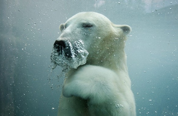 Reutersdan 2011 fotoğrafları 63