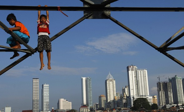 Reutersdan 2011 fotoğrafları 7