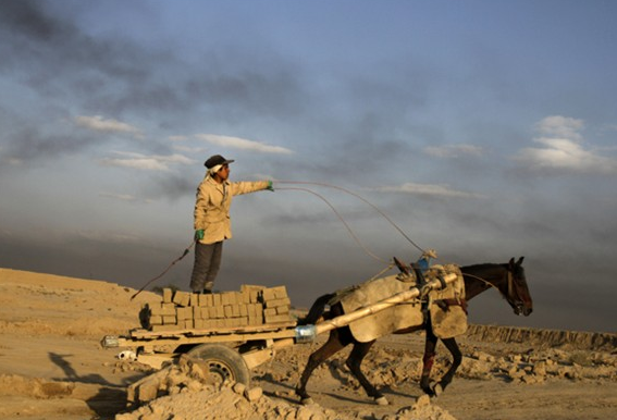 Reutersdan 2011 fotoğrafları 72