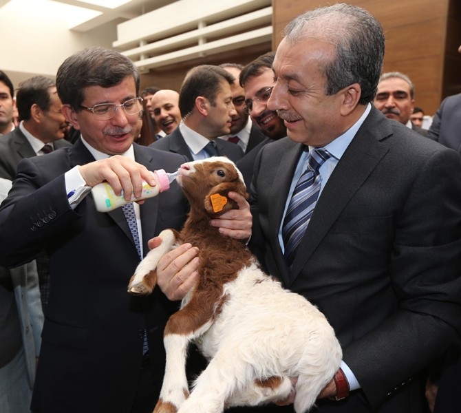 O İÇİMİZDEN BİRİ... 46