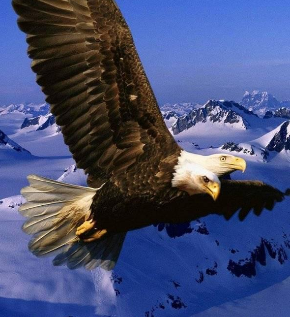 Siyam ikizleri görenleri şaşırtıyor 20