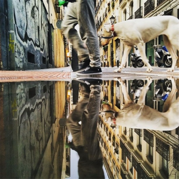 Suya yansıyan muhteşem fotoğraflar 7