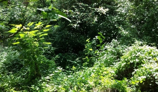 Fotoğraftaki Gemiyi Görebildiniz mi? 13