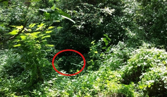 Fotoğraftaki Gemiyi Görebildiniz mi? 14