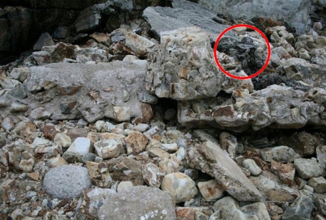 Fotoğraftaki Gemiyi Görebildiniz mi? 16