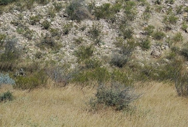 Fotoğraftaki Gemiyi Görebildiniz mi? 17