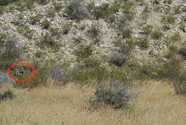 Fotoğraftaki Gemiyi Görebildiniz mi? 18