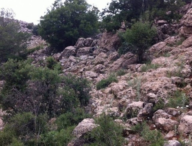 Fotoğraftaki Gemiyi Görebildiniz mi? 19