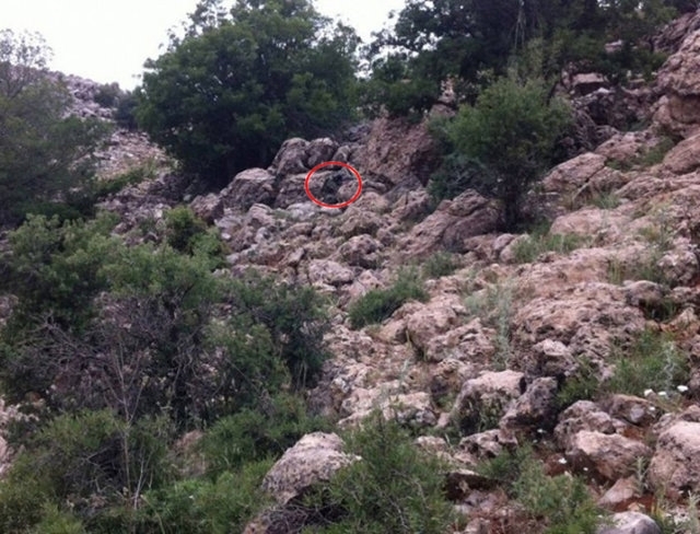 Fotoğraftaki Gemiyi Görebildiniz mi? 20