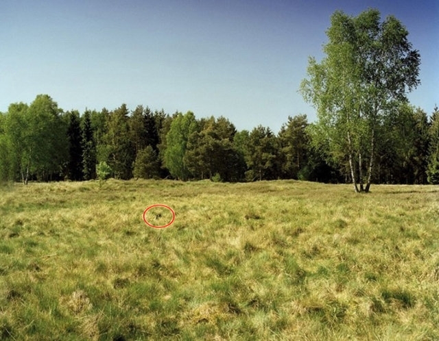 Fotoğraftaki Gemiyi Görebildiniz mi? 22