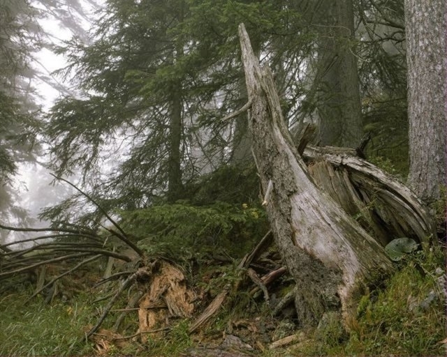 Fotoğraftaki Gemiyi Görebildiniz mi? 23