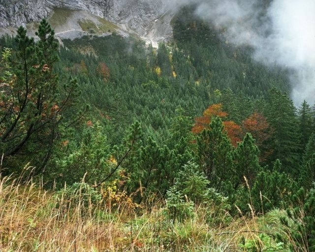 Fotoğraftaki Gemiyi Görebildiniz mi? 29