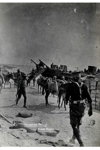 Çanakkale destanını anlatan fotoğraflar 105