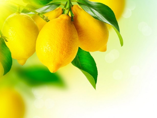Limonlu su içmek için 20 sebep 3