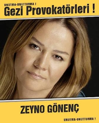 Gezi provokatörleri: Unutma, unutturma 20