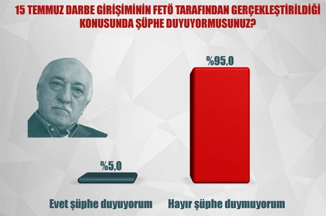 Çok çarpıcı darbe anketi 1