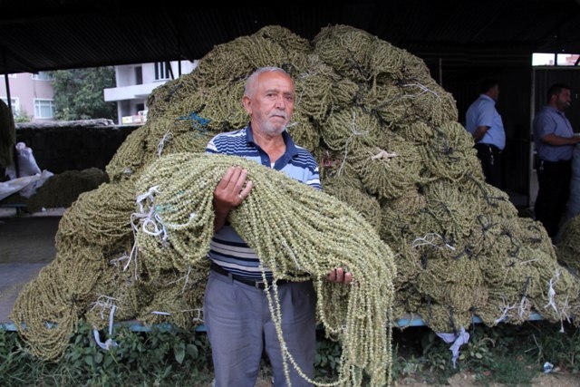 Bamyanın tarladan sofraya zorlu yolculuğu 12