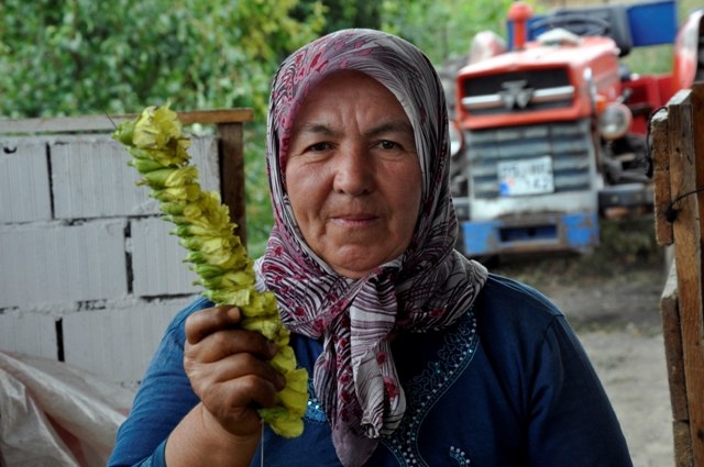 Bamyanın tarladan sofraya zorlu yolculuğu 8