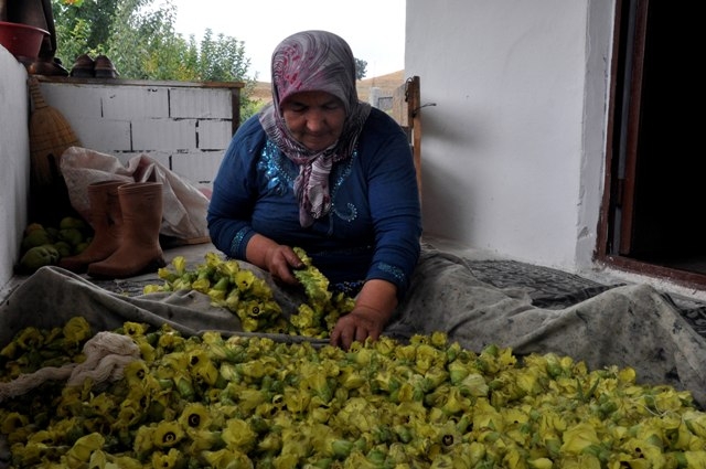 Bamyanın tarladan sofraya zorlu yolculuğu 9