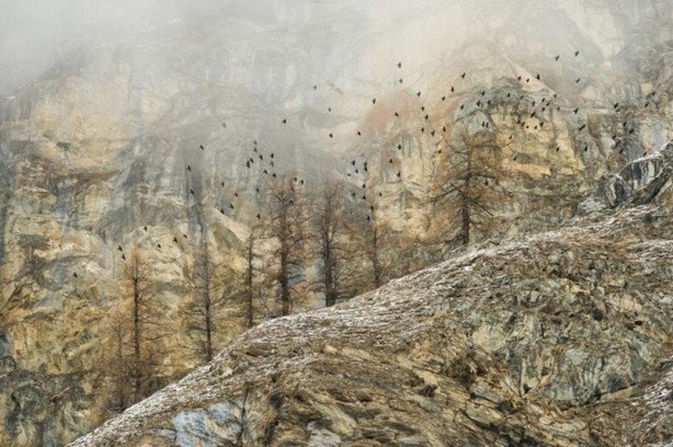 Yılın en vahşi yaşam fotoğrafları seçildi 5